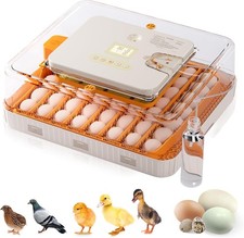Egg incubator for - for, hatching