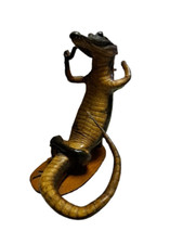 Piccolo coccodrillo