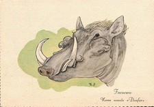 cn1195 cartolina cartolina