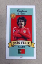 2018-19 Campioni di Futuro #1