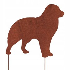 PASTORE AUSTRALIANO FIGURA