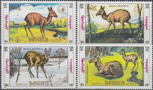 Cervo siberiano mongolia 1990 - siberiano,