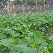Rete Traliccio da Giardino