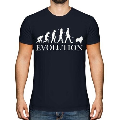 Springer spaniel evolution - evolution, of