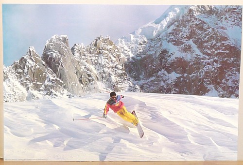 Sciatore neve montagna - (prl),