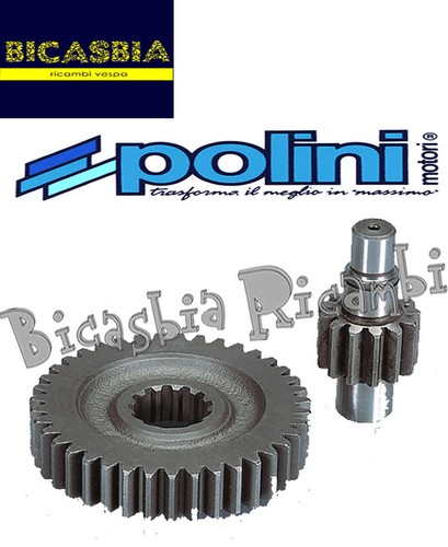 7937 ingranaggi polini - -,