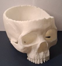 Teschio soprammobile porta