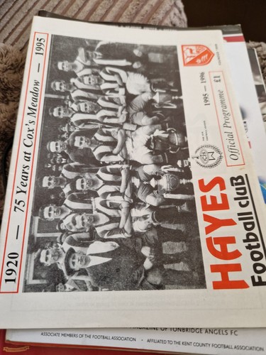 Hayes molesey 1995 icis - v, 1995/96