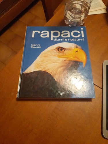 Rapaci diurni notturni - rapaci,
