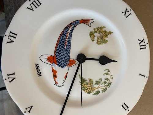 Asagi japanese koi carp - asagi, fish