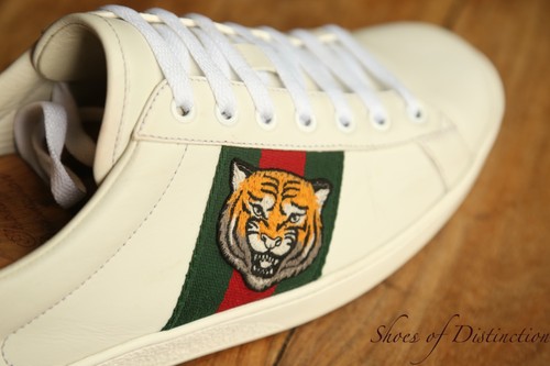 Scarpe ginnastica gucci - da, ace