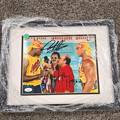 Hulk hogan dennis - hulk, hogan/dennis