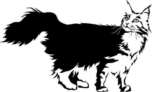 Adesivo maine coon - maine, sticker