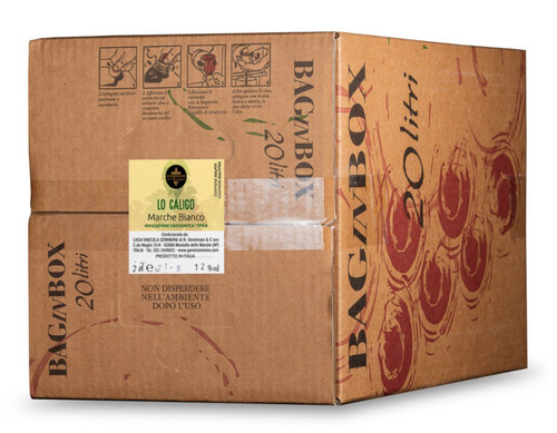 Vino bianco marche - bianco,