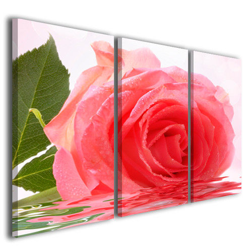 Quadro rosa colorata beautiful - colorata,