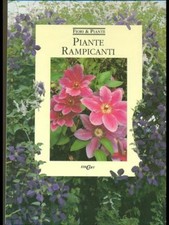 PIANTE RAMPICANTI MANUALISTICA VERDE AA.VV. EDICART 1995