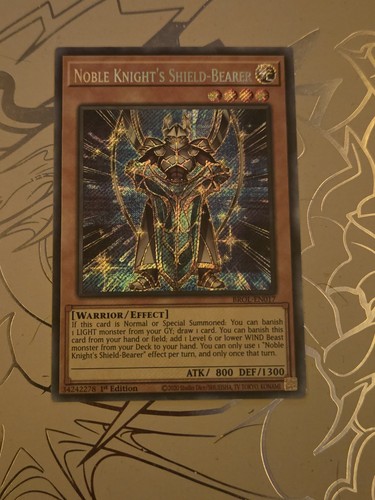 Noble knight shield bearer - knight's, shield-bearer