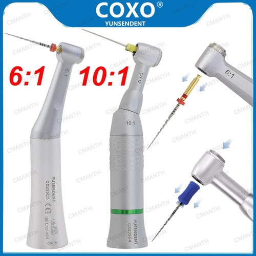 Coxo dental endo manipolo - coxo, m4
