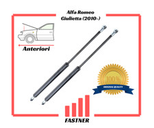 Coppia Ammortizzatori Gas