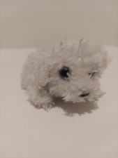 Russ Petooties Animali Bichon