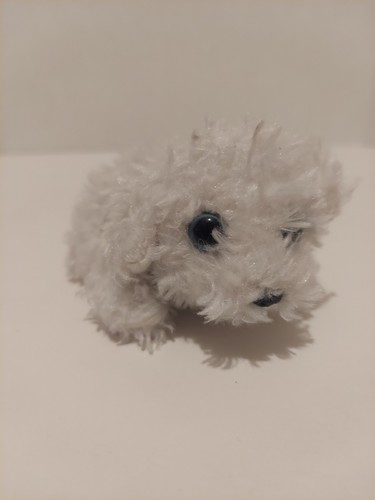 Russ petooties animali - russ, bichon