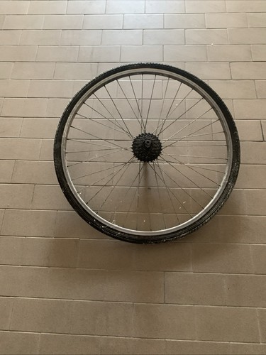 Cerchioni bici usato - bici,