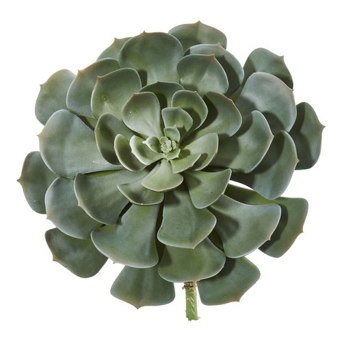 Pianta artificiale echeveria - artificiale,
