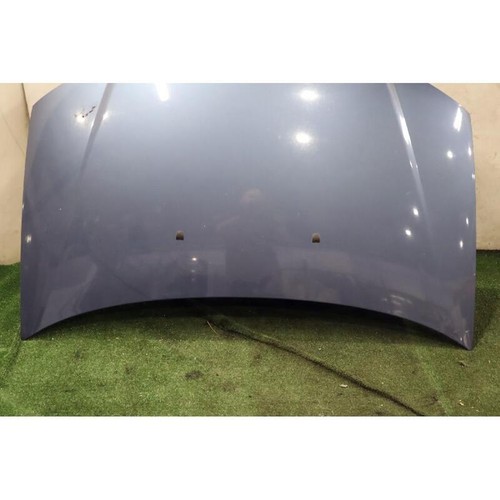 Cofano ant fiat punto - punto,