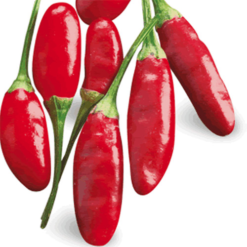 Semi peperoncino - 30,