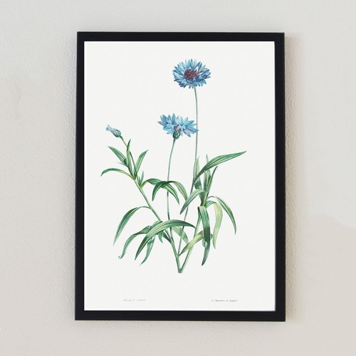 Illustrazione floreale vintage