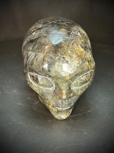 Testa aliena labradorite flash