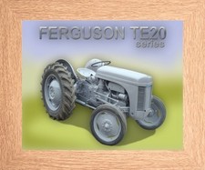 FERGUSON TE20 WEE GREY MARE