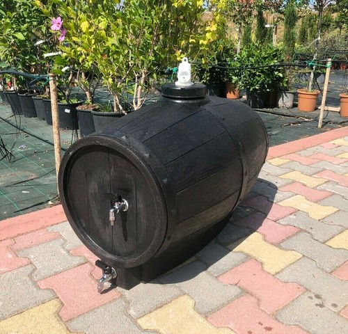 Barile botte enologica - vino, in