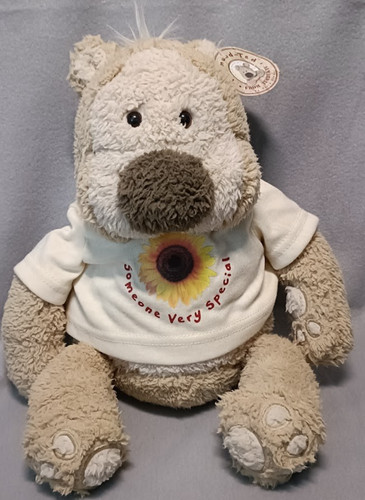 Shirt peluche giocattolo - peluche,