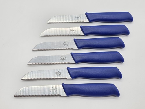Amc coltelli frutta blu - coltelli,