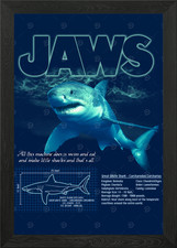 Grande squalo bianco