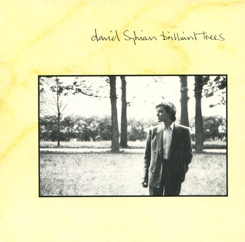 David sylvian brilliant - sylvian,