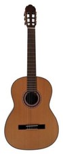Vgs Chitarra Concerto Pro