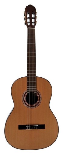 Vgs chitarra concerto pro - concerto,