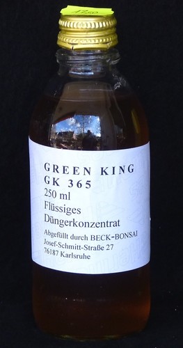 Bonsai green king gk - -, 365
