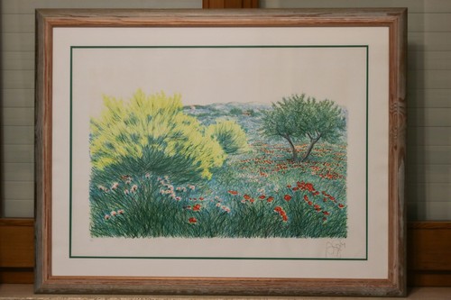Litografia azzinari - azzinari,