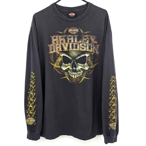 Camicia harley davidson 2010 - harley,