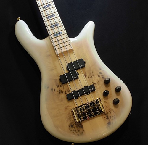 Spector euro cst - spector,