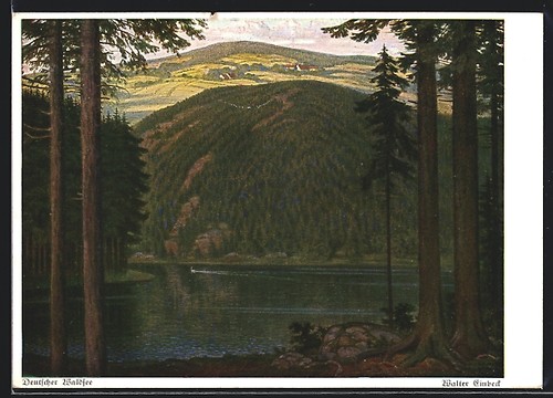 Cartolina artista walter - cartolina,