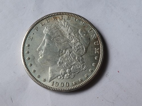 Usa dollaro 1900 - 1,