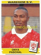 334 ONYA PASCHAL # WAREGEM