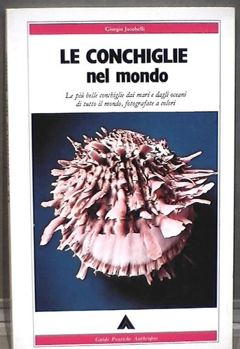 Conchiglie nel mondo - le,