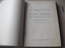 Romualdo Natoli Le meraviglie