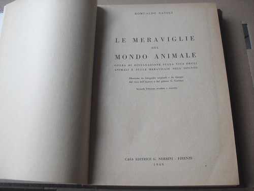 Romualdo natoli meraviglie - natoli, le