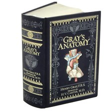 ❤️GRAY'S ANATOMY by Henry